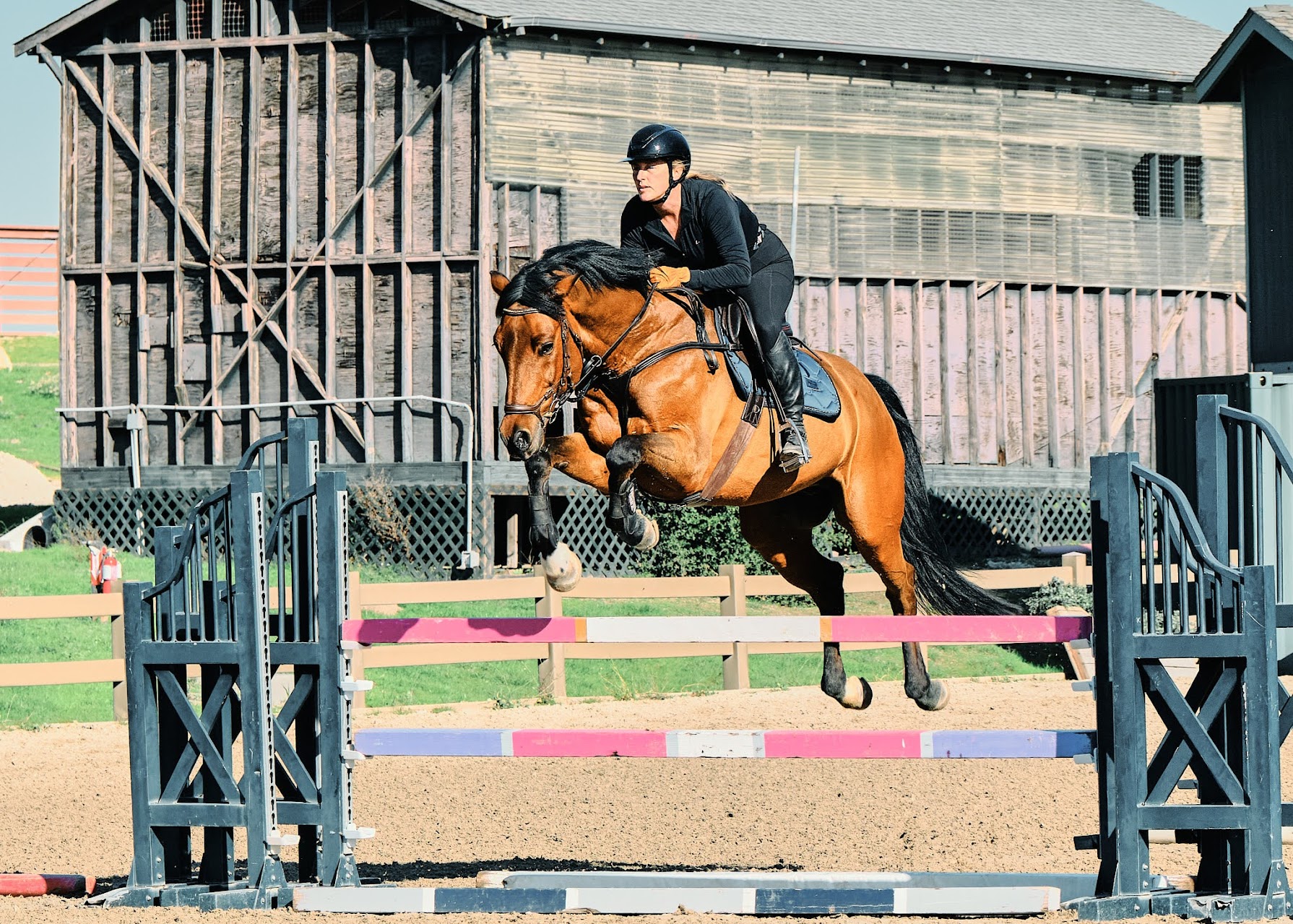 Horse jumping